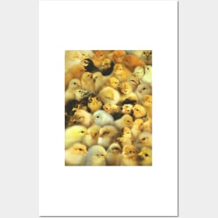 Chicks Posters and Art
